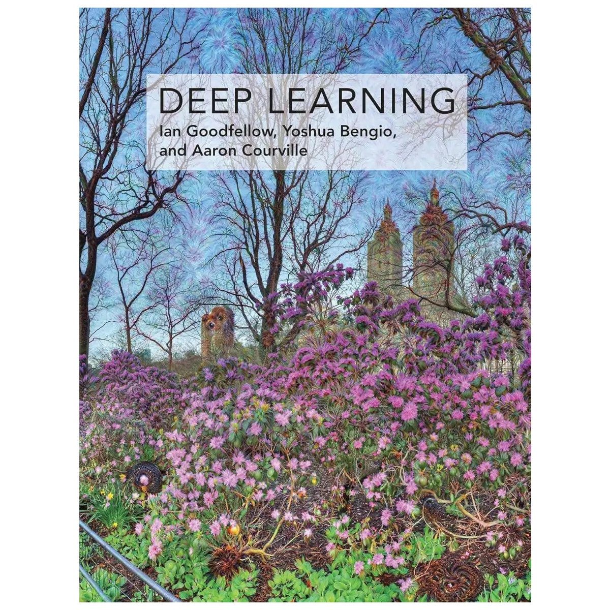 Deep Learning (Adaptive Computation and Machine Learning series) - Hardcover - ISBN: 9780262035613