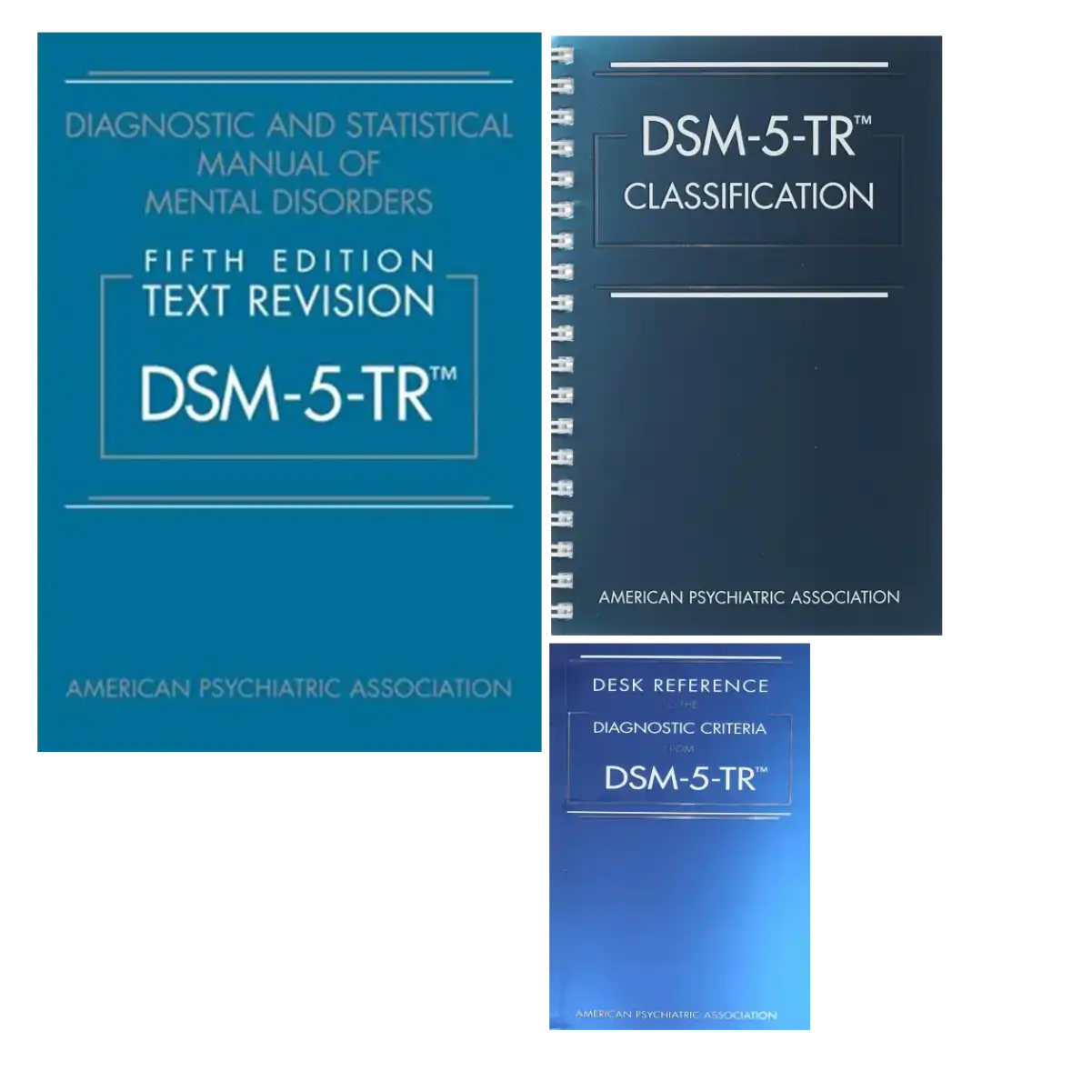DSM 5 TR Softcover & Desk Reference & Classification Spiral bound Combo Pack - ISBN: 9780890425756 - 9780890425794 - 9780890425831
